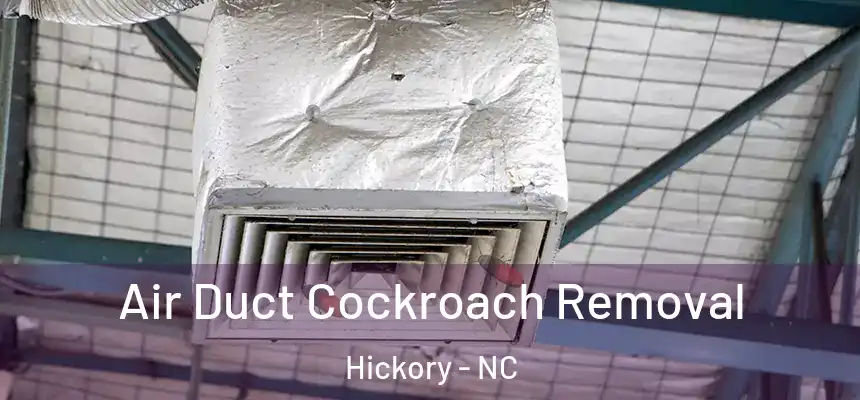 Air Duct Cockroach Removal Hickory - NC