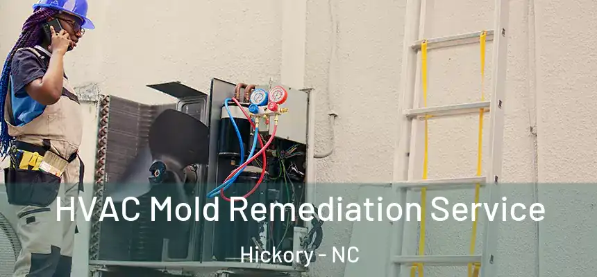 HVAC Mold Remediation Service Hickory - NC