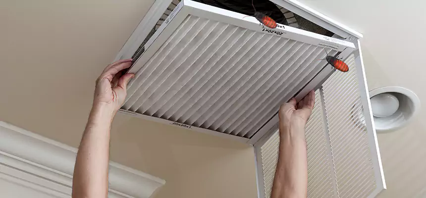 Preventive Cockroach-Proofing for Ducts in Hickory