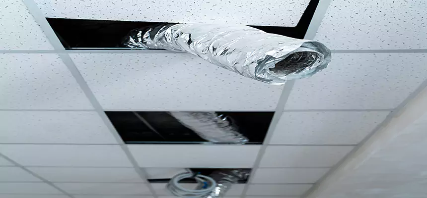 Our Air Duct Pet Hair Removal Services in Hickory, NC