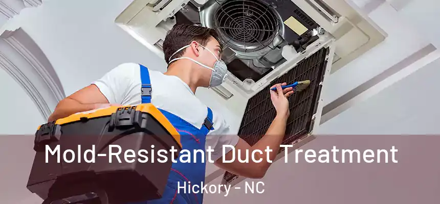 Mold-Resistant Duct Treatment Hickory - NC