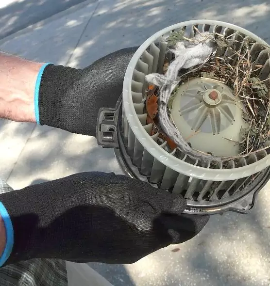 About Air Duct Rat Removal in Hickory, NC