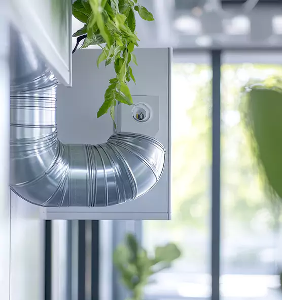 Professional Eco-Safe Dryer Vent Cleaning in Hickory, NC