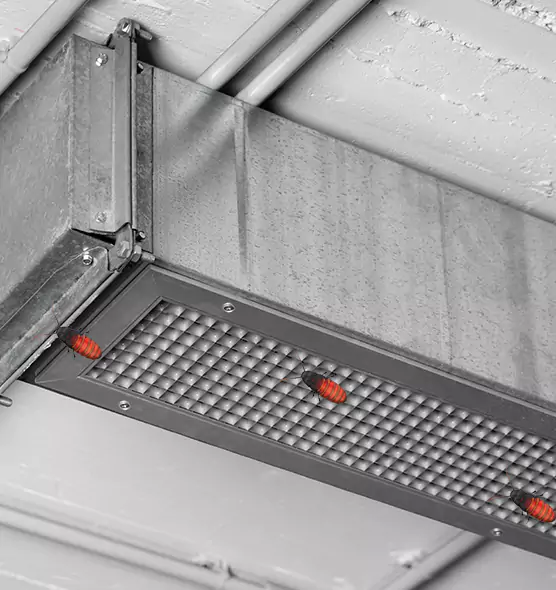 Affordable Insect Removal from Air Ducts in Hickory, NC