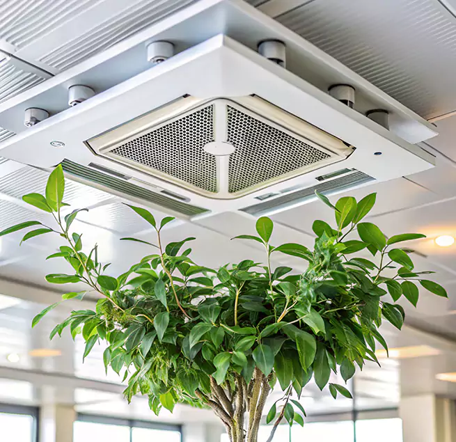 Why Homeowners & Businesses Trust Us in Hickory, NC?